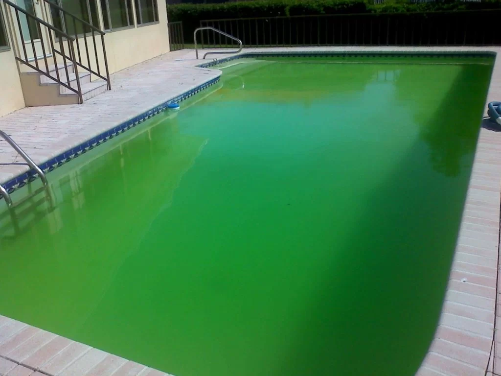 My Swimming Pool Is Green How Can I Fix It?